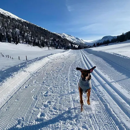 Luxus Alpin & Traumblick Nockberge Auf H1200m