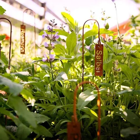 Luxus Alpin & Traumblick Nockberge Auf H1200m Plessnitz