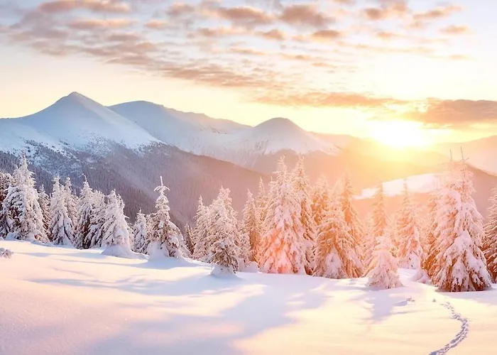 Privates Mit Garten Hot Tub Kamin Bergblick Chalet