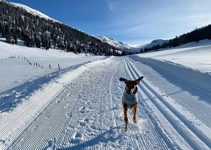 Privates Mit Garten Hot Tub Kamin Bergblick