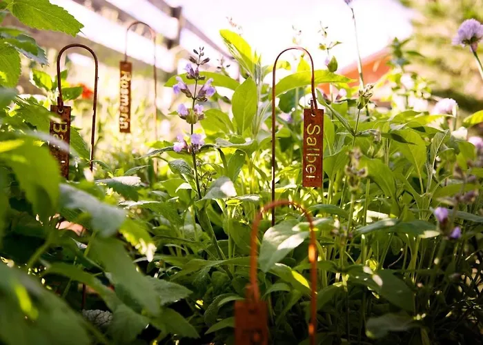 Privates Mit Garten Hot Tub Kamin Bergblick Plessnitz